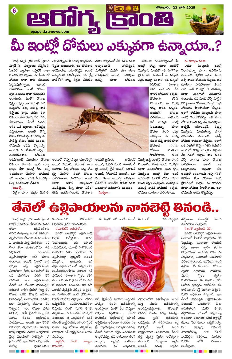 Page 6