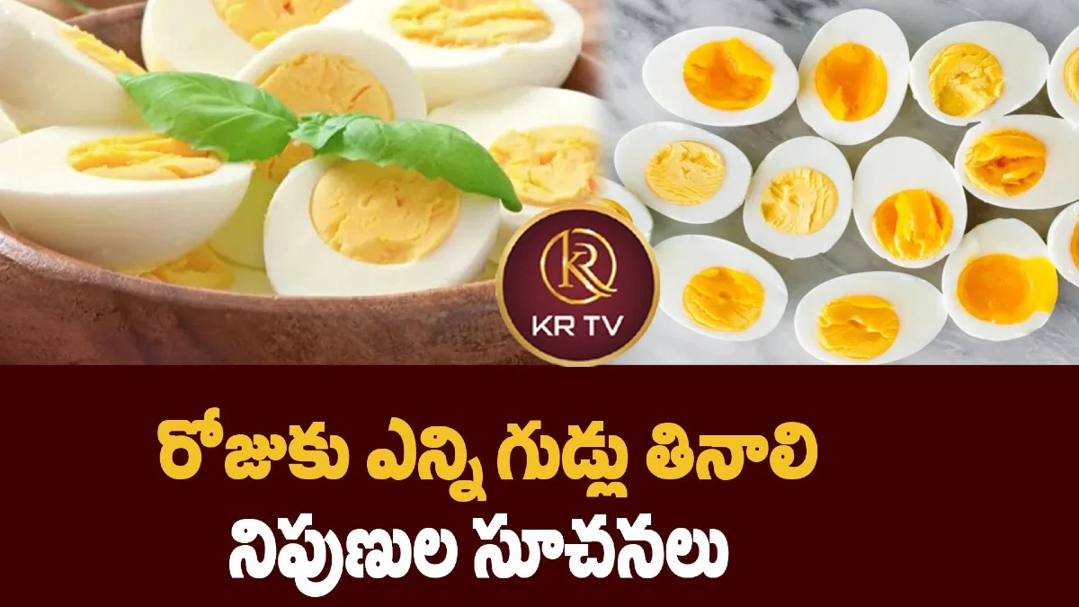 రోజుకు ఎన్ని గుడ్లు తినాలి? నిపుణుల సూచనలు