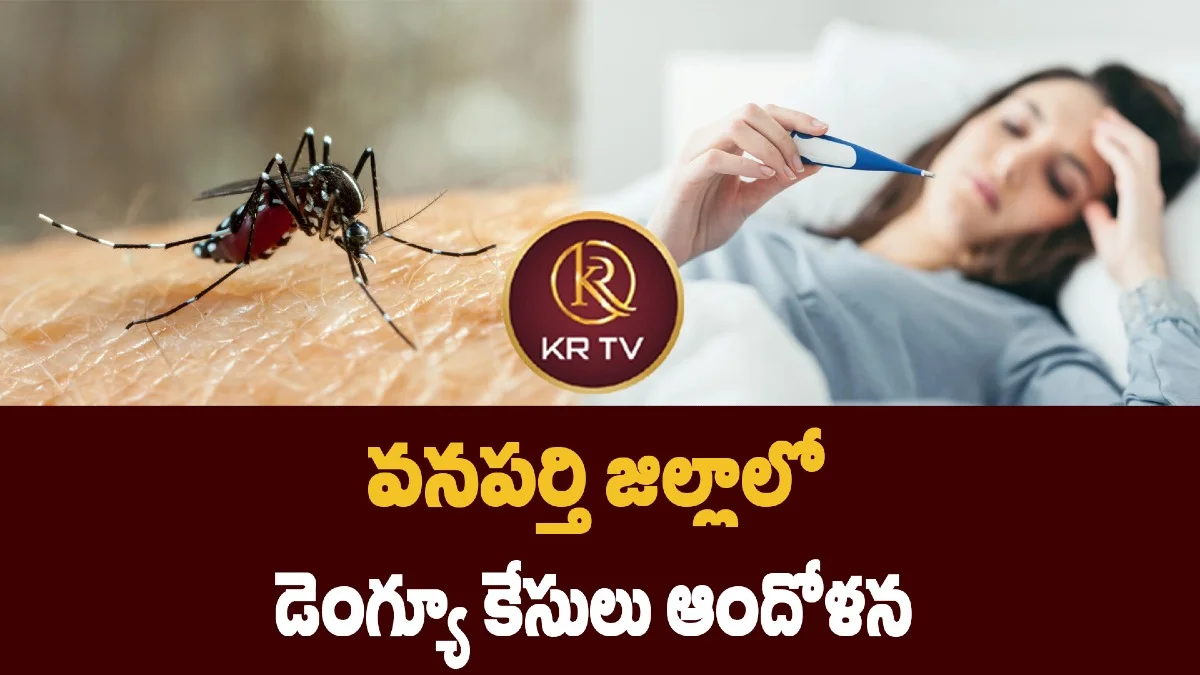 వనపర్తి జిల్లాలో డెంగ్యూ కేసులు ఆందోళన