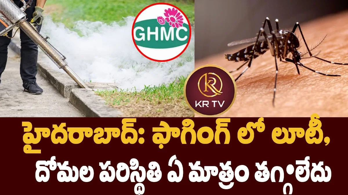 హైదరాబాద్: ఫాగింగ్ లో లూటీ, దోమల పరిస్థితి ఏ మాత్రం తగ్గలేదు