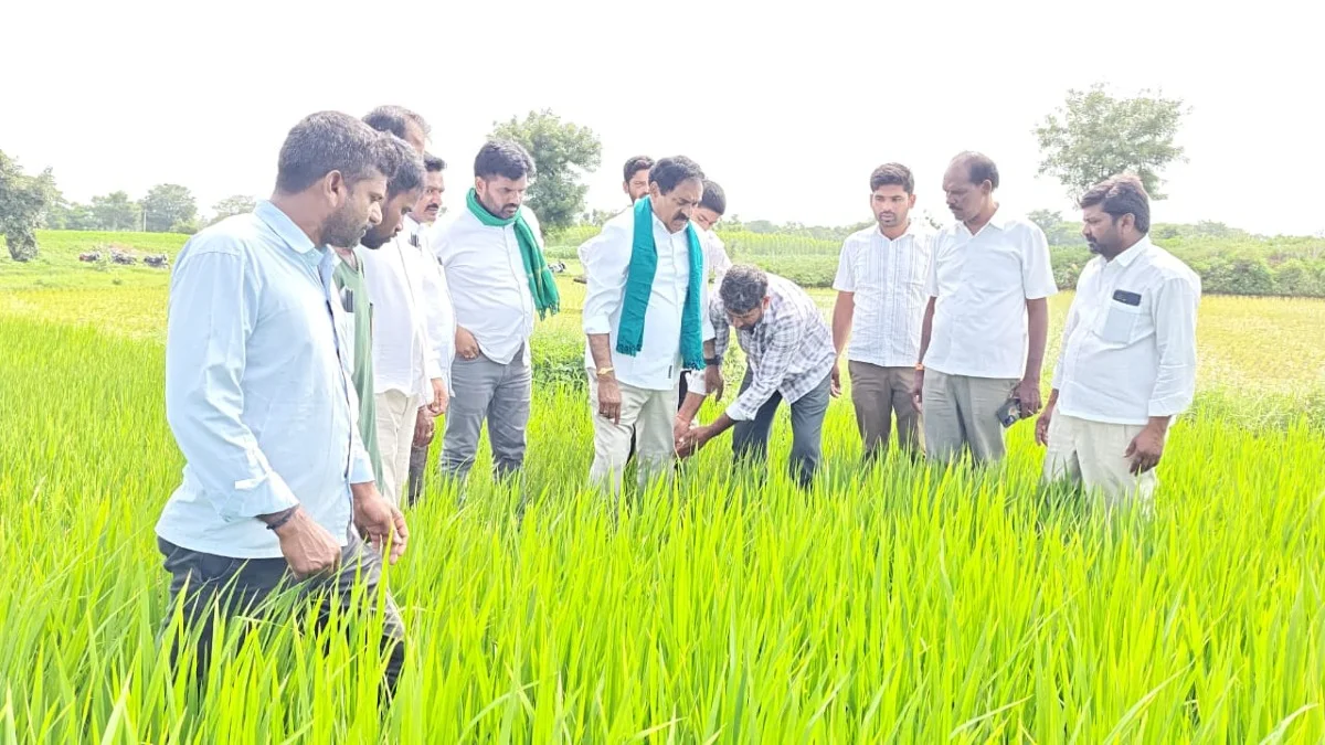 సాగునీరు లేక ఎండిపోయిన పంటలను పరిశీలించిన ఎర్రబెల్లి