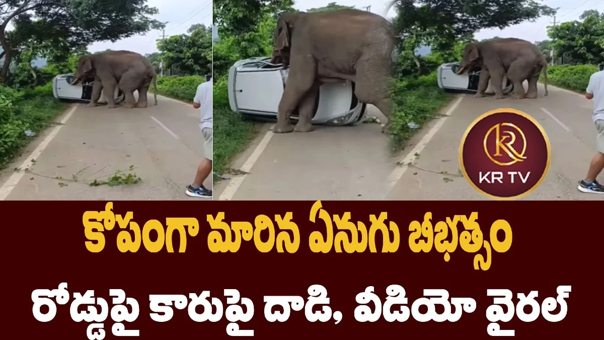 కోపంగా మారిన ఏనుగు బీభత్సం – రోడ్డుపై కారుపై దాడి, వీడియో వైరల్