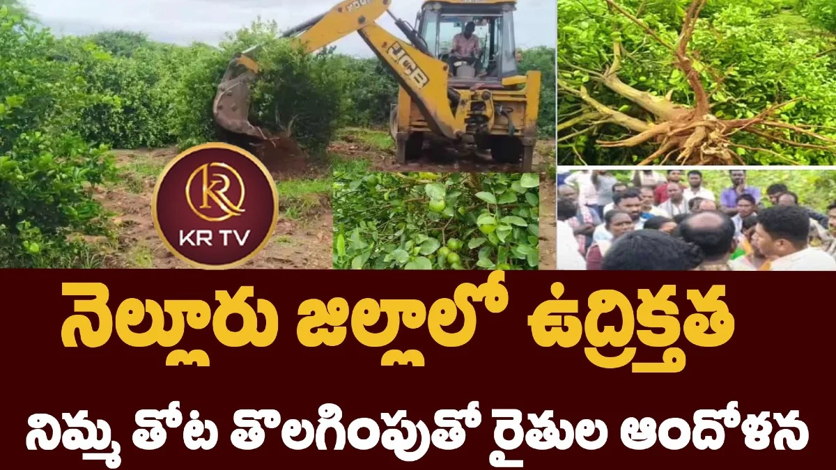నెల్లూరు జిల్లాలో ఉద్రిక్తత: నిమ్మ తోట తొలగింపుతో రైతుల ఆందోళన
