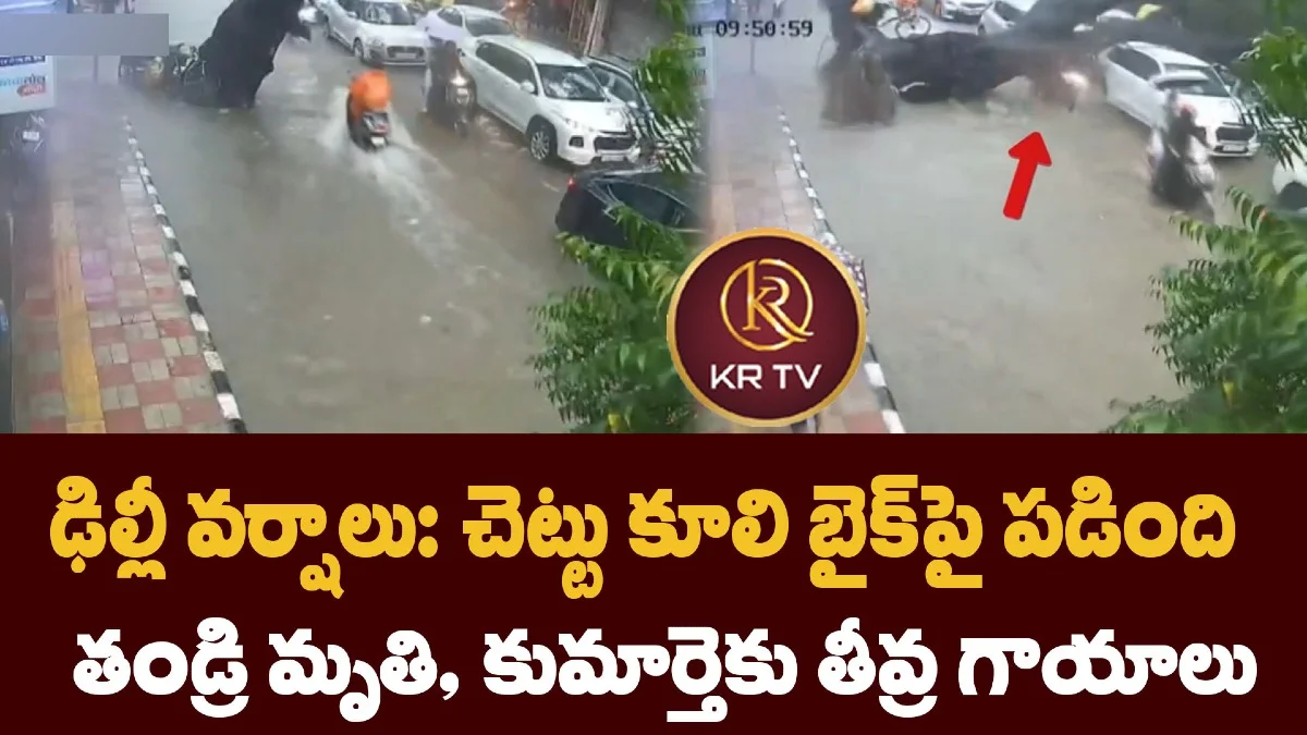ఢిల్లీ వర్షాలు: చెట్టు కూలి బైక్పై పడింది – తండ్రి మృతి, కుమార్తెకు తీవ్ర గాయాలు