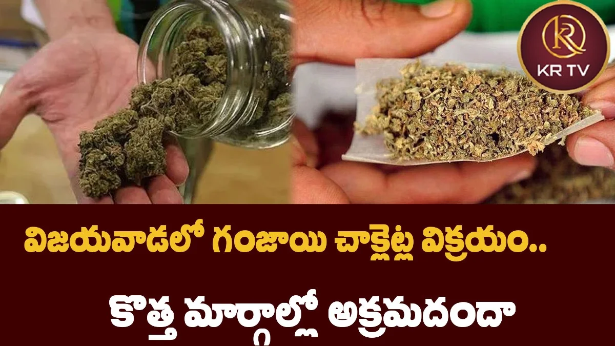 విజయవాడలో గంజాయి చాక్లెట్ల విక్రయం.. కొత్త మార్గాల్లో అక్రమదందా