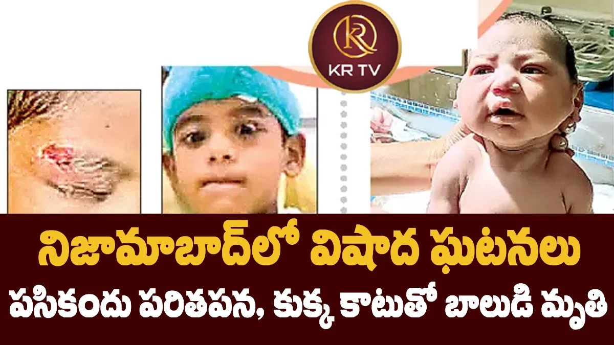 నిజామాబాద్లో విషాద ఘటనలు: పసికందు పరితపన, కుక్క కాటుతో బాలుడి మృతి