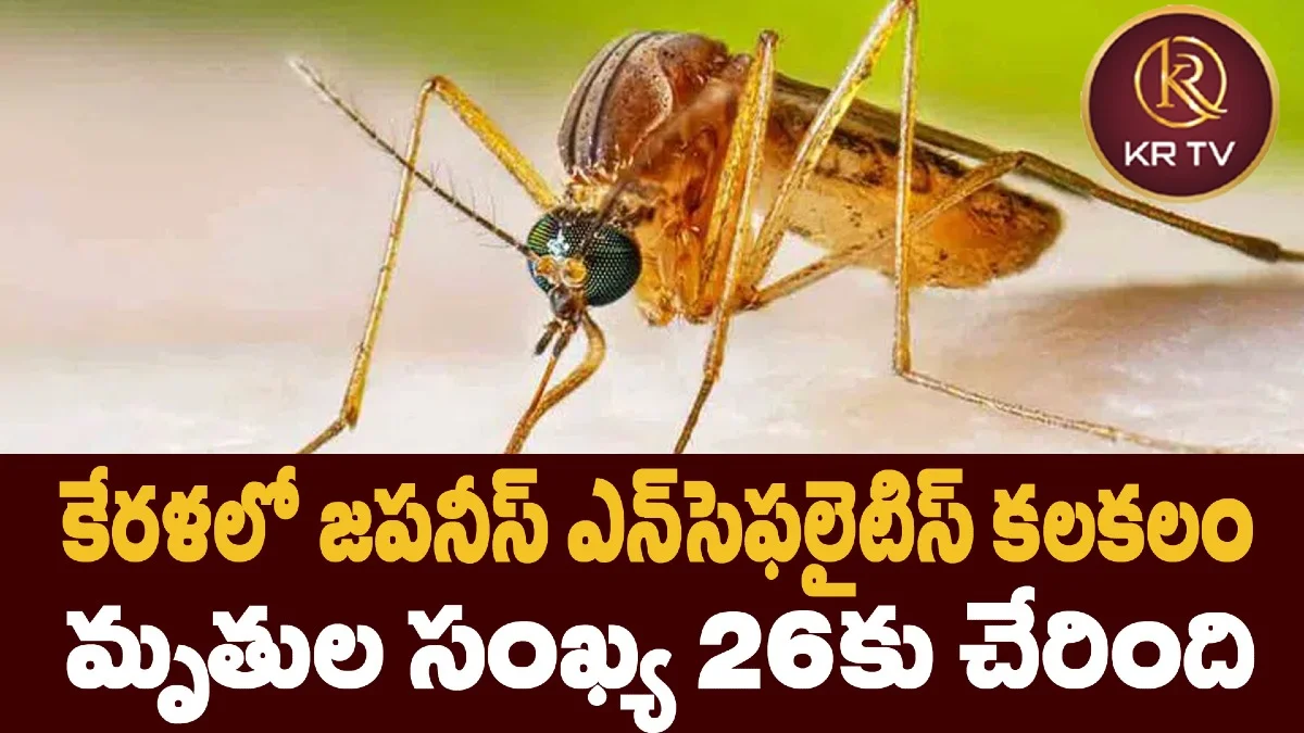 కేరళలో జపనీస్ ఎన్‌సెఫలైటిస్ కలకలం: మృతుల సంఖ్య 26కు చేరింది