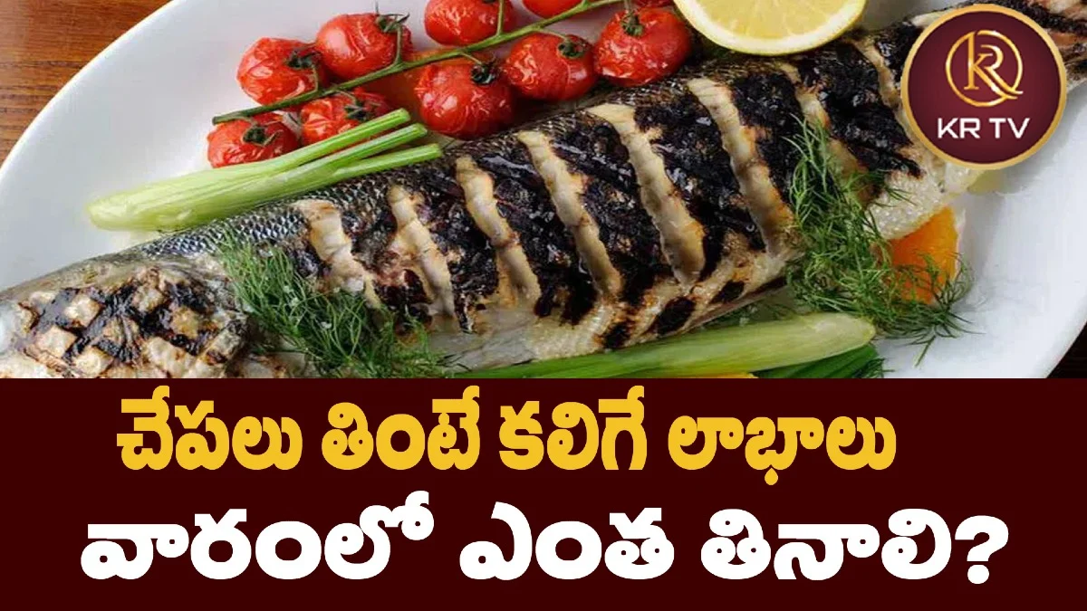 చేపలు తింటే కలిగే లాభాలు – వారంలో ఎంత తినాలి?