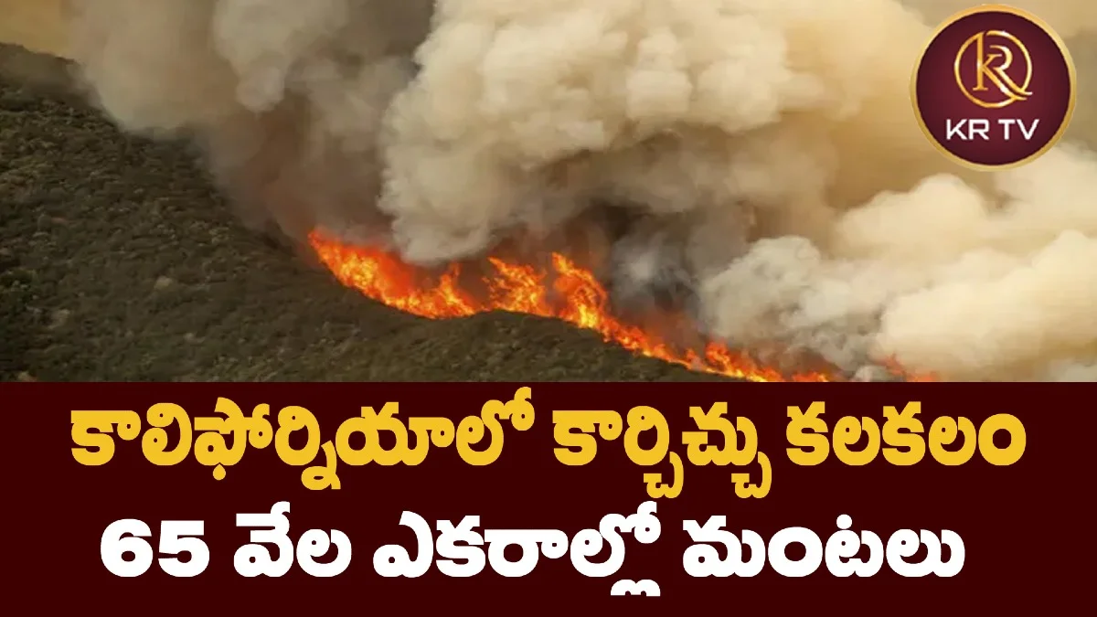 కాలిఫోర్నియాలో కార్చిచ్చు కలకలం: 65 వేల ఎకరాల్లో మంటలు