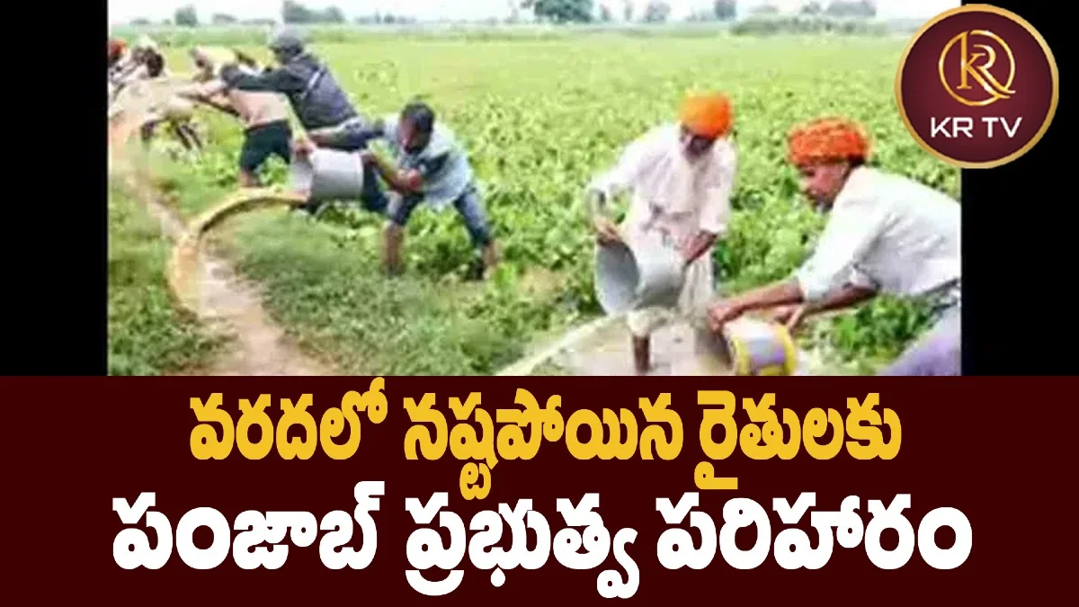 వరదలో నష్టపోయిన రైతులకు పంజాబ్‌ ప్రభుత్వ పరిహారం