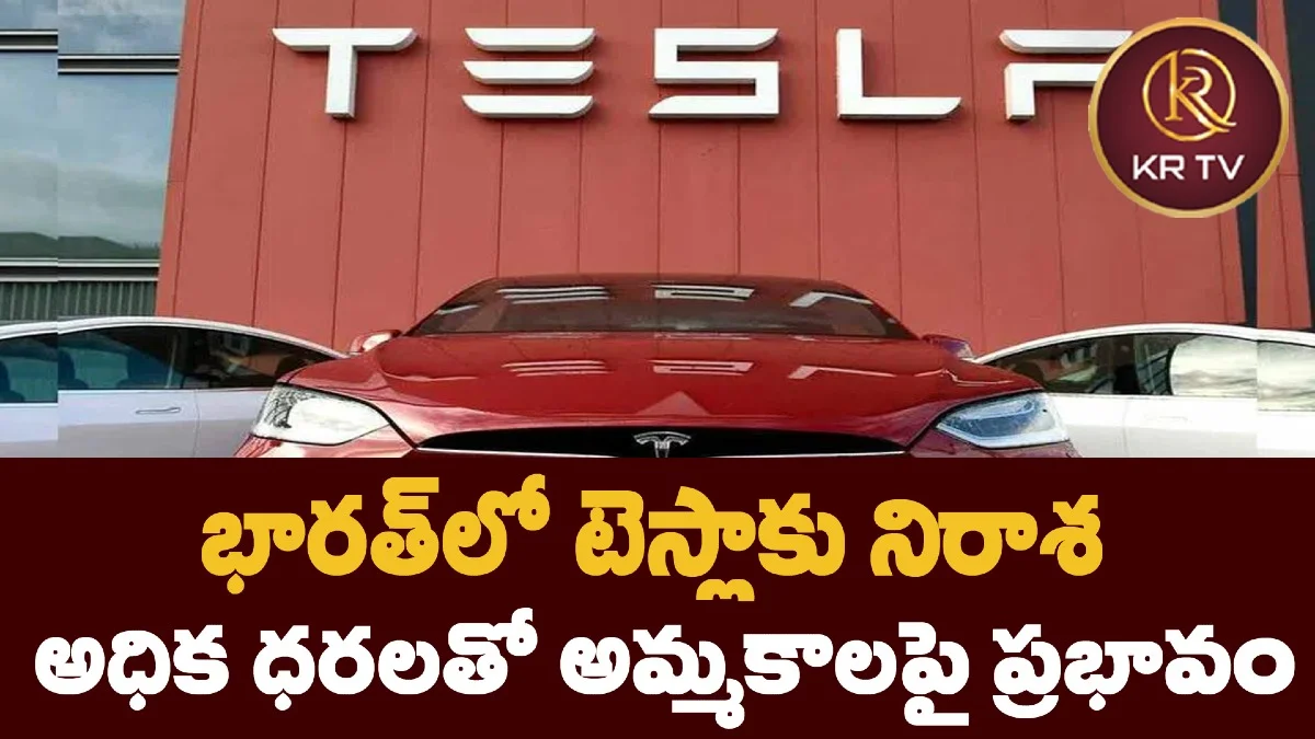 భారత్‌లో టెస్లాకు నిరాశ – అధిక ధరలతో అమ్మకాలపై ప్రభావం