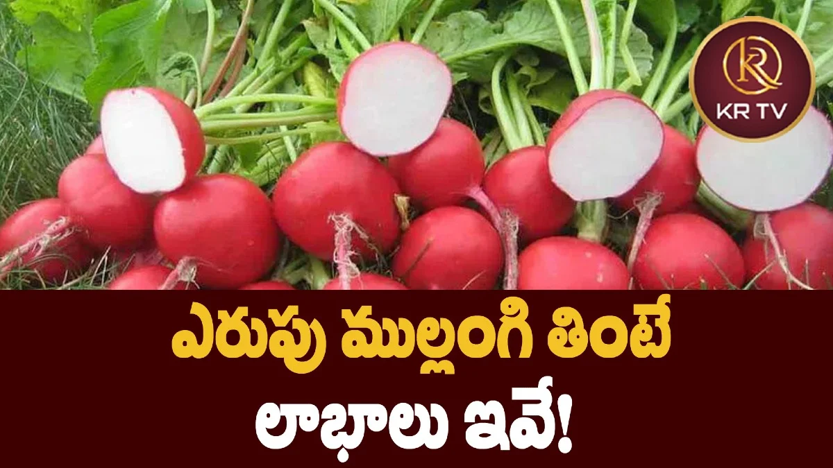 ఎరుపు ముల్లంగి తింటే లాభాలు ఇవే!